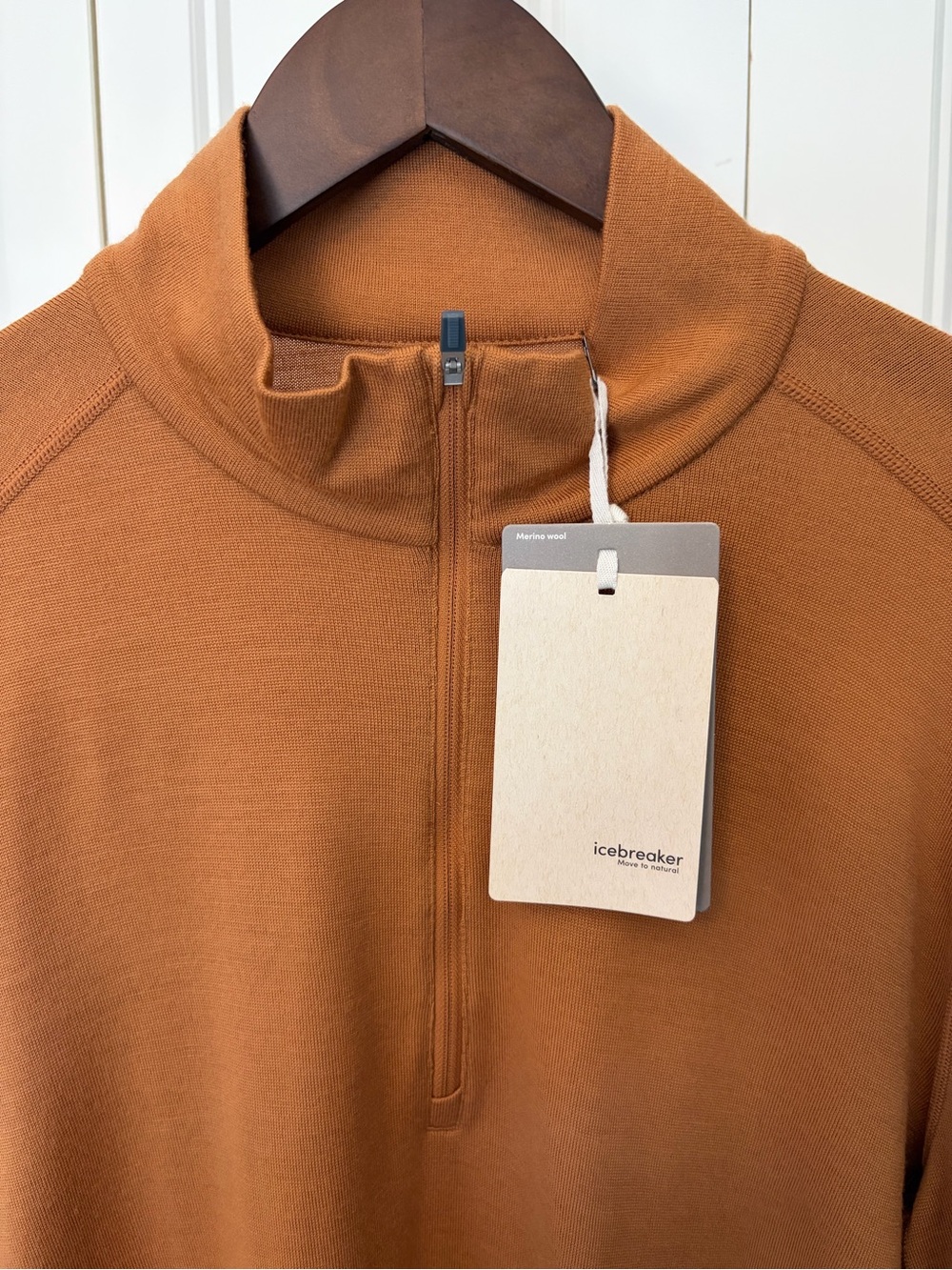 Icebreaker 260 Merino Half-Zip Pullover - color Trail